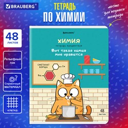 Тетрадь предметная "КОТ-ЭНТУЗИАСТ" 48 л., TWIN-лак, ХИМИЯ, клетка, подсказ, BRAUBERG, 404567 - фото 10000001