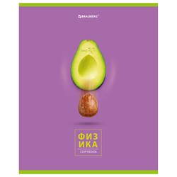 Тетрадь предметная "AVOCADO" 48 л., глянцевый лак, ФИЗИКА, клетка, BRAUBERG, 404283 - фото 10000096