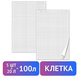 Блокноты для флипчарта ПЛОТНЫЕ 80 г/м2, BRAUBERG, 67,5х98 см, КОМПЛЕКТ 5 шт., 20 л., клетка, 124097 101010124097 - фото 11354307