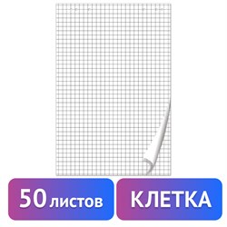 Блокнот для флипчарта ПЛОТНЫЙ 80 г/м2, BRAUBERG, 67,5х98 см, 50 листов, белый (КЛЕТКА), 128647 101010128647 - фото 11354319