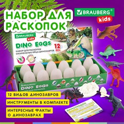 Набор для раскопок 12 видов динозавров, карточки, инструменты, развивающий, BRAUBERG KIDS, 664923 - фото 11386544