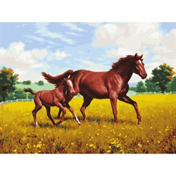 Картина по номерам 40х50 см, ОСТРОВ СОКРОВИЩ "Лошади на лугу", на подрамнике, акриловые краски, 3 кисти, 662464 - фото 11391401