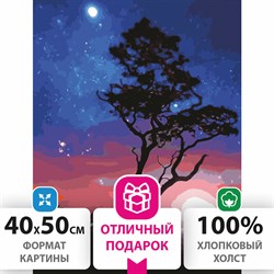 Картина по номерам 40х50 см, ОСТРОВ СОКРОВИЩ "Звездная ночь", на подрамнике, акриловые краски, 3 кисти, 662495 - фото 11391702