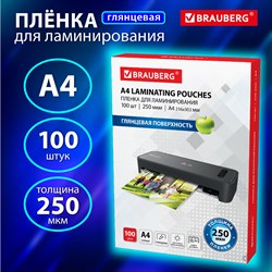 Пленки-заготовки для ламинирования А4, КОМПЛЕКТ 100 шт., 250 мкм, BRAUBERG, 530897 101010530897 - фото 11471598