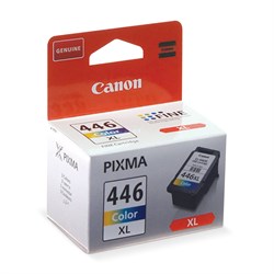 Картридж струйный CANON (CL-446XL) PIXMA MG2440/PIXMA MG2540, цветной, оригинальный, ресурс 300 стр., увеличенная емкость, 8284B001 101010361283 - фото 11475962