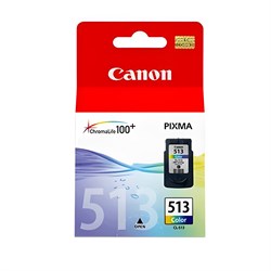 Картридж струйный CANON (CL-513) Pixma MP240, цветной, оригинальный, 2971B007 101010360561 - фото 11476025