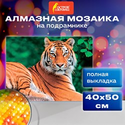 Картина стразами (алмазная мозаика) 40х50 см, ОСТРОВ СОКРОВИЩ "Тигр", на подрамнике, 662427 - фото 11532143