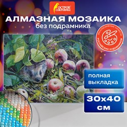 Картина стразами (алмазная мозаика) 30х40 см, ОСТРОВ СОКРОВИЩ "Ёжик", без подрамника, 662564 - фото 11532865