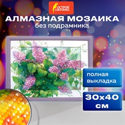 Картина стразами (алмазная мозаика) 30х40 см, ОСТРОВ СОКРОВИЩ "Сирень", без подрамника, 662571 - фото 11533022