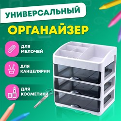 Органайзер для хранения косметики, канцтоваров, мелочей ТРЕХУРОВНЕВЫЙ 31,5x27,7x21 см, DASWERK, 608474 101010608474 - фото 11534854