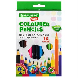 Карандаши цветные утолщенные BRAUBERG KIDS 12 цветов, грифель 5 мм, 181878 101010181878 - фото 11547663