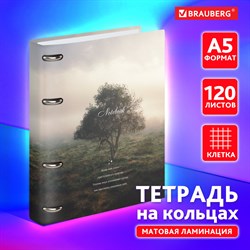 Тетрадь на кольцах А5 160х212мм, 120л, картон,матовая ламинация, клетка, BRAUBERG, Relax, 404728 - фото 11584983