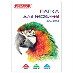 Папка для рисования БОЛЬШОГО ФОРМАТА А3, 40 л., 120 г/м2, ПИФАГОР, 297х420 мм, "Попугай", 129219 - фото 9984427