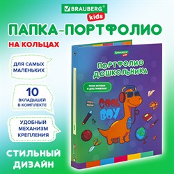 Папка-портфолио дошкольника "ДИНОЗАВР", 4 кольца, 20 файлов, 10 вкладышей, 7БЦ матовая, BRAUBERG KIDS, 115238 - фото 9991436