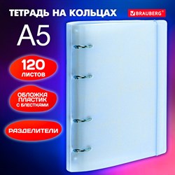 Тетрадь на кольцах А5 175х220 мм, 120 л., пластик, с резинкой и разделителями, BRAUBERG, Голубой, 404633 - фото 9998161