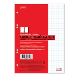 Сменный блок к тетради на кольцах, А5, 80 л., HATBER, "Белый", 80СБ5В1, Т05088 - фото 9998479