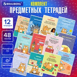 Тетради предметные, КОМПЛЕКТ 12 ПРЕДМЕТОВ, 48 л., TWIN-лак, BRAUBERG, "КОТ-ЭНТУЗИАСТ", 404609 - фото 9999315