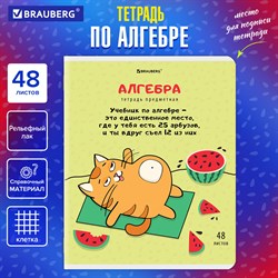 Тетрадь предметная "КОТ-ЭНТУЗИАСТ" 48 л., TWIN-лак, АЛГЕБРА, клетка, подсказ, BRAUBERG, 404556 - фото 9999918