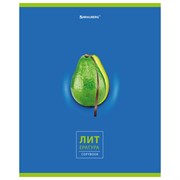 Тетрадь предметная "AVOCADO" 48 л., глянцевый лак, ЛИТЕРАТУРА, линия, подсказ, BRAUBERG, 404281