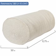 Полотно нитепрошивное (НЕТКОЛ), Узбекистан, рулон 0,75х50 м, 120 (±5) г/м2, в пакете, LAIMA, 607523 101010607523