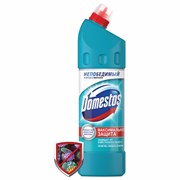 Чистящее средство 1 л, DOMESTOS (Доместос) "Свежесть Атлантики", с отбеливающим эффектом 101010600580