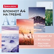 Блокнот БОЛЬШОЙ ФОРМАТ А4 198х297 мм, 80 л., гребень, жесткая подложка, клетка, BRAUBERG, "Calm", 114357 101010114357