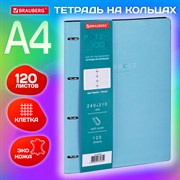 Тетрадь на кольцах БОЛЬШАЯ А4 (240х310 мм), 120 л., под кожу, BRAUBERG VISTA, "Пастельная", 404514