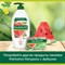 Мыло туалетное 90 г, PALMOLIVE НАТУРЭЛЬ "Летний арбуз", освежающее, 32940, 8693495032940 101010609049 - фото 10719212