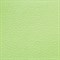 Салфетки бумажные 100 штук, 24х24 см, LAIMA, зелёные (пастельный цвет), 100% целлюлоза, 111791 - фото 10724490