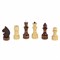 Шахматы обиходные, деревянные, лакированные, глянцевые, доска 29х29 см, ЗОЛОТАЯ СКАЗКА, 665362 - фото 11387206