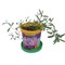 Набор для выращивания растений ВЫРАСТИ ДЕРЕВО! "Лаванда" (банка, грунт, семена), zk-030 - фото 11390819