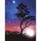 Картина по номерам 40х50 см, ОСТРОВ СОКРОВИЩ "Звездная ночь", на подрамнике, акриловые краски, 3 кисти, 662495 - фото 11391703