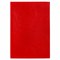 Обложка для паспорта экокожа, мягкая вставка изолон, "PASSPORT", красная, STAFF "Profit", 238408 - фото 11449268