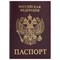 Обложка для паспорта STAFF "Profit", экокожа, "ПАСПОРТ", бордовая, 237192 - фото 11449532