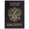 Обложка для паспорта STAFF "Profit", экокожа, "ПАСПОРТ", черная, 237191 - фото 11449538