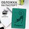 Обложка для паспорта, мягкий полиуретан, "Кошка", бирюзовая, STAFF, 237616 101010237616 - фото 11449863