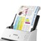 Сканер потоковый EPSON WorkForce DS-530II А4, 35 стр./мин, 1200x1200, ДАПД, B11B261401 101010354774 - фото 11473527