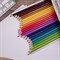 Карандаши цветные BRAUBERG PREMIUM, 24 цвета, пластиковые, шестигранные, грифель 3 мм, 181668 - фото 11544331