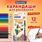 Карандаши цветные пластиковые, BRAUBERG PREMIUM 12 цветов + 1 чернографитный карандаш, трехгранный корпус, грифель 3 мм, 181936 101010181936 - фото 11544751