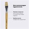 Кисть ПИФАГОР, ЩЕТИНА, плоская, № 24, деревянная лакированная ручка, пакет с подвесом, 200881 - фото 11550117