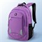 Рюкзак BRAUBERG HIGH SCHOOL универсальный, 3 отделения, "Стимул", фиолетовый, 46х31х18 см, 225516 - фото 11556357