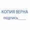 Штамп стандартный "КОПИЯ ВЕРНА, подпись", оттиск 38х14 мм, синий, TRODAT 4911P4-3.42, 54194 101010236838 - фото 11589651