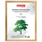 Рамка 30х40 см, дерево, багет 18 мм, BRAUBERG "HIT", канадская сосна, стекло, 390026 101010390026 - фото 9980024