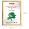 Рамка 30х40 см, дерево, багет 18 мм, BRAUBERG "HIT", канадская сосна, стекло, 390026 101010390026 - фото 9980029