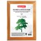 Рамка 15х20 см, дерево, багет 18 мм, BRAUBERG "HIT", канадская сосна, стекло, подставка, 390020 101010390020 - фото 9980131