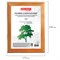 Рамка 15х20 см, дерево, багет 18 мм, BRAUBERG "HIT", канадская сосна, стекло, подставка, 390020 101010390020 - фото 9980135