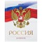 Дневник 5-11 класс 48 л., твердый, BRAUBERG, глянцевая ламинация, с подсказом, "Символика 2", 106067 - фото 9987220