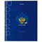 Дневник 5-11 класс 48 л., твердый, BRAUBERG, глянцевая ламинация, с подсказом, "Символика", 106878 - фото 9989758