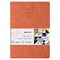 Тетрадь 48 л. в клетку обложка фактурный кожзам, сшивка, A5 (147х210мм), ОРАНЖЕВЫЙ, BRAUBERG SKY, 403868 - фото 9994971