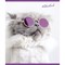 Тетрадь А5, 48 л., ПЗБМ, скоба, клетка, фольга, конгрев, TWIN лак, "КОТ БАЗИЛ" (5 видов), 029211 - фото 9995662